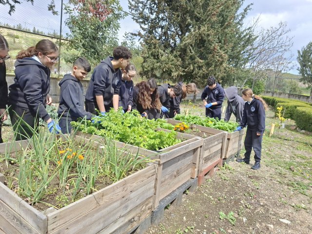 Μικροί καλλιεργητές εν δράσει: Η βιολογική σοδειά του Γυμνασίου Αγίας Βαρβάρας
