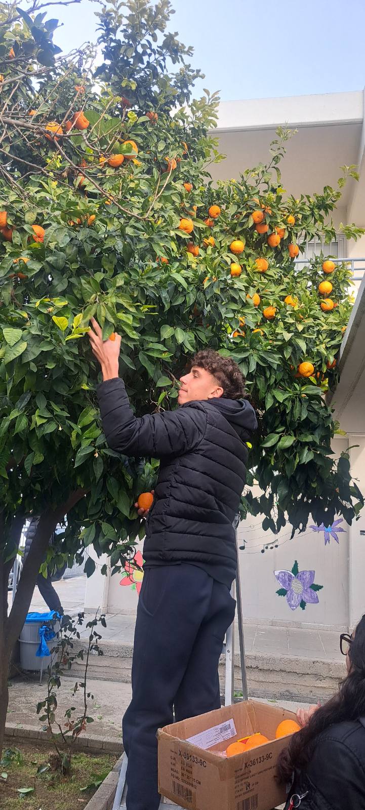 Οι Θησαυροί της Γης μας στην Καλλιέργεια της Αλληλεγγύης